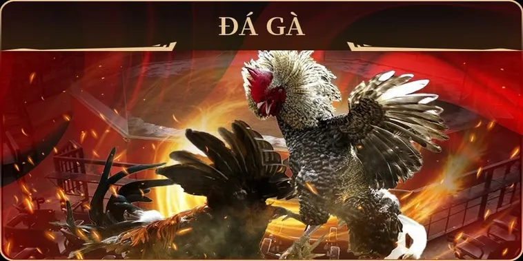 Hướng Dẫn Cách Chơi Đá Gà GA28 Tại PG88 Hiệu Quả Nhất 2 Hướng Dẫn Cách Chơi Đá Gà GA28 Tại PG88 Hiệu Quả Nhất