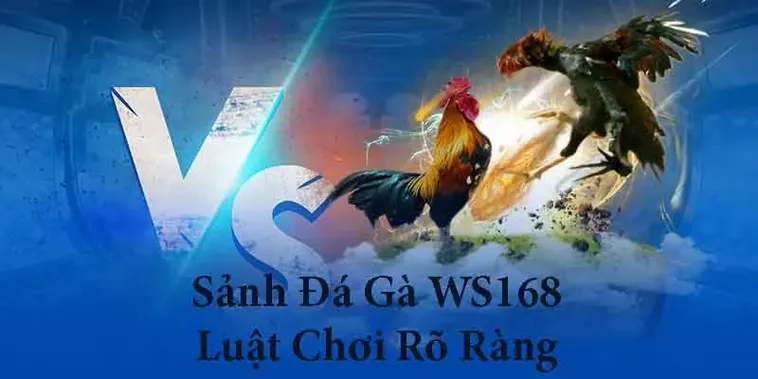 Hướng Dẫn Chi Tiết Cách Chơi Đá Gà WS168 Tại PG88 Đơn Giản 2 Hướng Dẫn Chi Tiết Cách Chơi Đá Gà WS168 Tại PG88 Đơn Giản