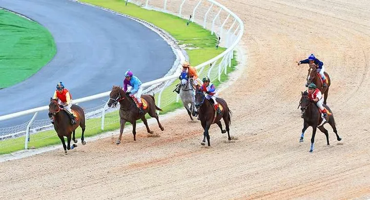 Tìm Hiểu Cá Cược Đua Ngựa PG88: Hành Trình Thắng Lớn 2 Tìm Hiểu Cá Cược Đua Ngựa PG88: Hành Trình Thắng Lớn