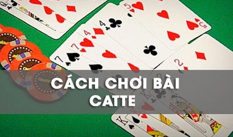 Hướng Dẫn Chi Tiết Cách Chơi Sắc Tê Nhà Cái PG88 Hiệu Quả 2 Hướng Dẫn Chi Tiết Cách Chơi Sắc Tê Nhà Cái PG88 Hiệu Quả